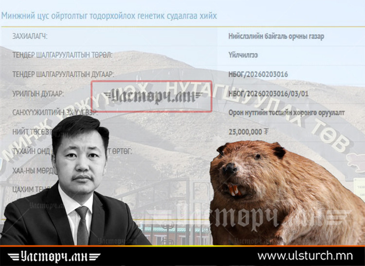 МЕГА төслүүдийнхээ учрыг олоогүй хотынхон МИНЖНИЙ ЦУС ОЙРТОЛТЫГ СУДЛАХААР болжээ